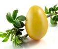 http://www.zastavki.com/pictures/640x480/2012/Holidays_Easter_Easter_Egg_020682_29.jpg