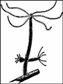 image001