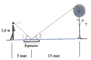 p02.JPG
