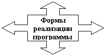Выноска с четырьмя стрелками: Формы реализации программы
