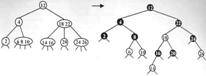 tree_rb_2