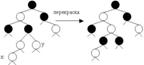 tree_rb_insert_1