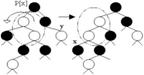 tree_rb_insert_2