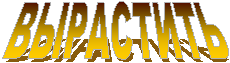 ВЫРАСТИТЬ