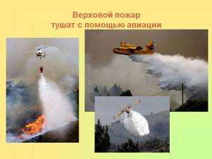 D:\С диска с\Моя работа\открытые уроки\пожар в лесу\картинки пожар лес\самол.jpg