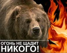 D:\С диска с\Моя работа\открытые уроки\пожар в лесу\картинки пожар лес\плакат3.jpg