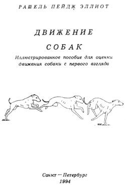 1-1.jpg