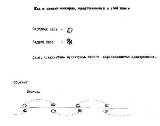 1-3.jpg