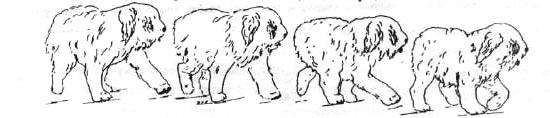1-8.jpg