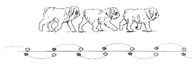 1-9.jpg