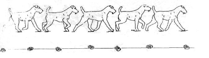 1-11.jpg
