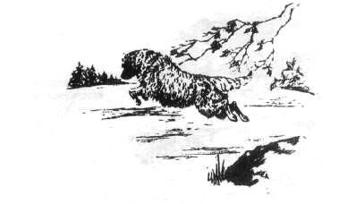 1-24.jpg