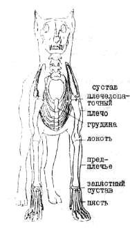 1-58.jpg