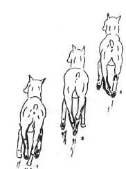 1-67.jpg