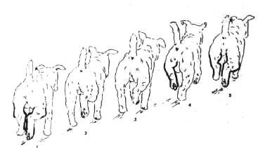 1-76.jpg