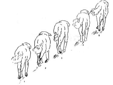 1-79.jpg