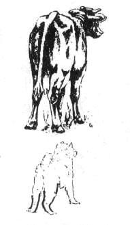 1-80.jpg
