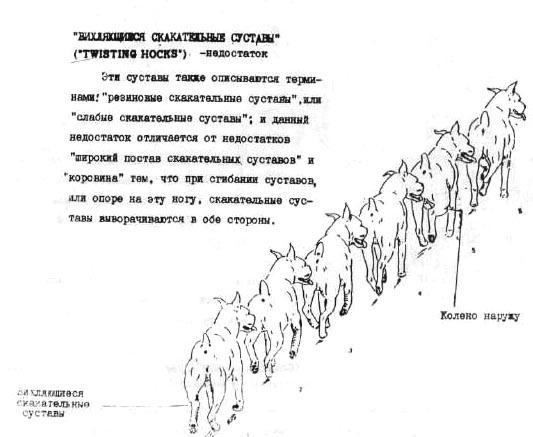 1-86.jpg