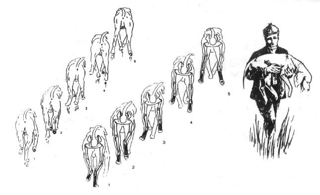 1-88.jpg