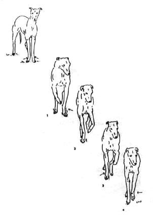 1-92.jpg