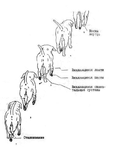 1-93.jpg