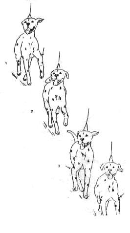 1-95.jpg