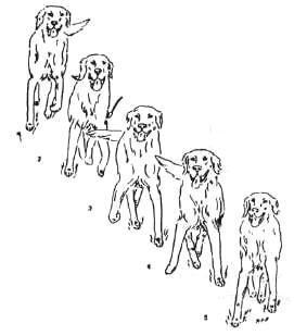 1-97.jpg