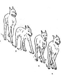 1-106.jpg