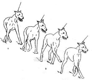 1-108.jpg
