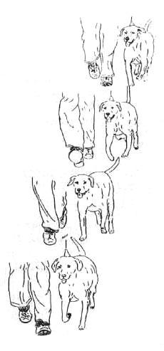 1-112.jpg
