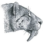00001p12"