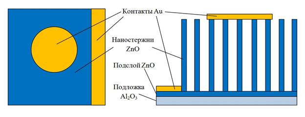 D:\Несветаев\Отчет по сенсорам\Структура 2.jpg