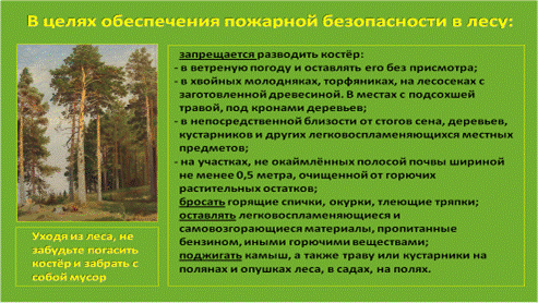 C:\Users\вера\Desktop\!!!Последняя версия плакатов-14.03.2011\34-обеспечение пожарной безопасности в лесу.bmp