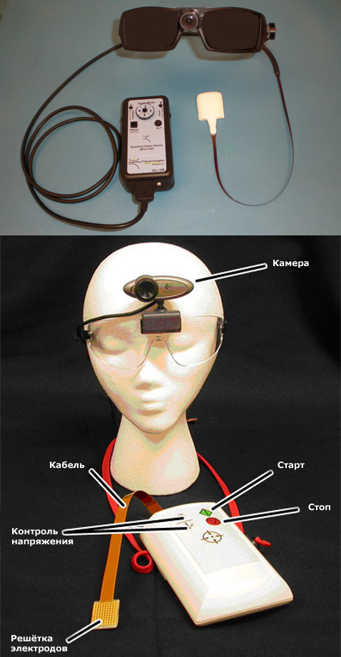BrainPort ������� �� ����������� �����������, ����������� � ������ ���, ������������� � ���� ���������� � ��� ����������� ������� � ��������� ������� �� ����������, ��������������� �� ���� (���� Wicab).