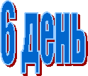 6 ����