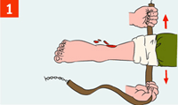 http://*****/i/kniga241210/pomosh040.gif