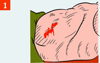 http://*****/i/kniga241210/pomosh047.gif