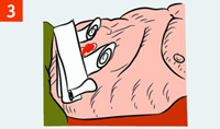 http://*****/i/kniga241210/pomosh049.gif
