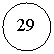 ����: 29