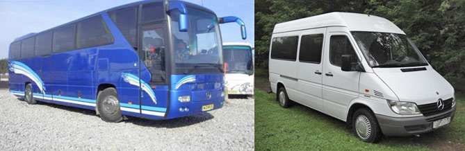 buses
