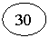����: 30