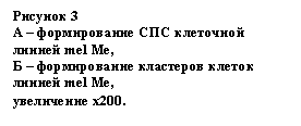 �������: