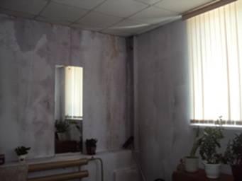 C:\Documents and Settings\User\Local Settings\Temporary Internet Files\Content.Word\DSC00605.jpg