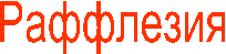 Раффлезия