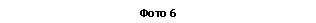 �������: ���� 6