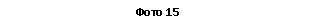 �������: ���� 15