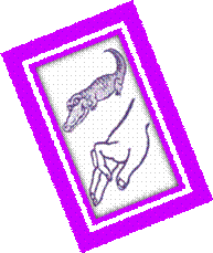 C:\���1\��������\�������\krokodil.gif