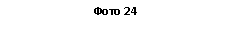 �������: ���� 24