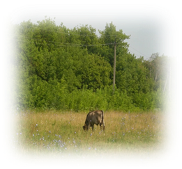 ��������: F:\�����������\DSCI0772.JPG