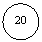 ����: 20